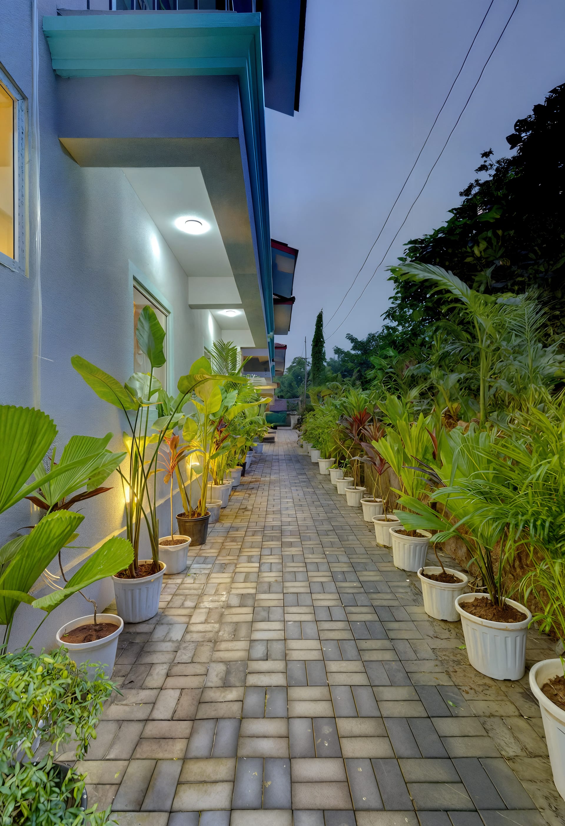 Casa Marina — 3 bedroom luxury villa in Anjuna, North Goa