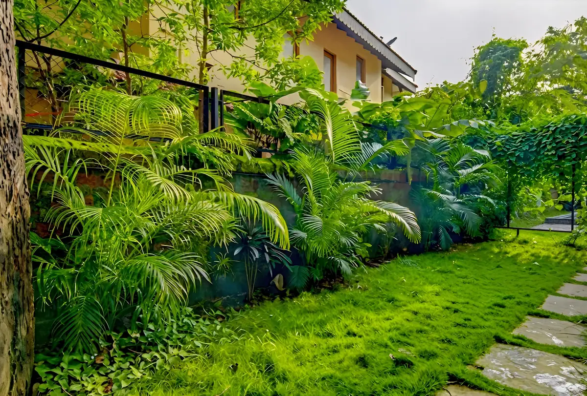 Casa Marina — 3 bedroom luxury villa in Anjuna, North Goa