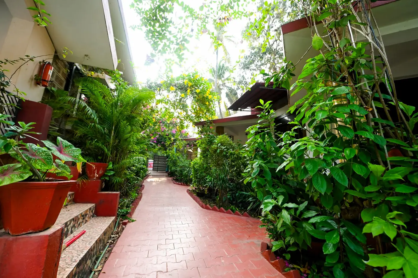 Harbor Court — 10 bedroom luxury bungalow in Vagator, North Goa