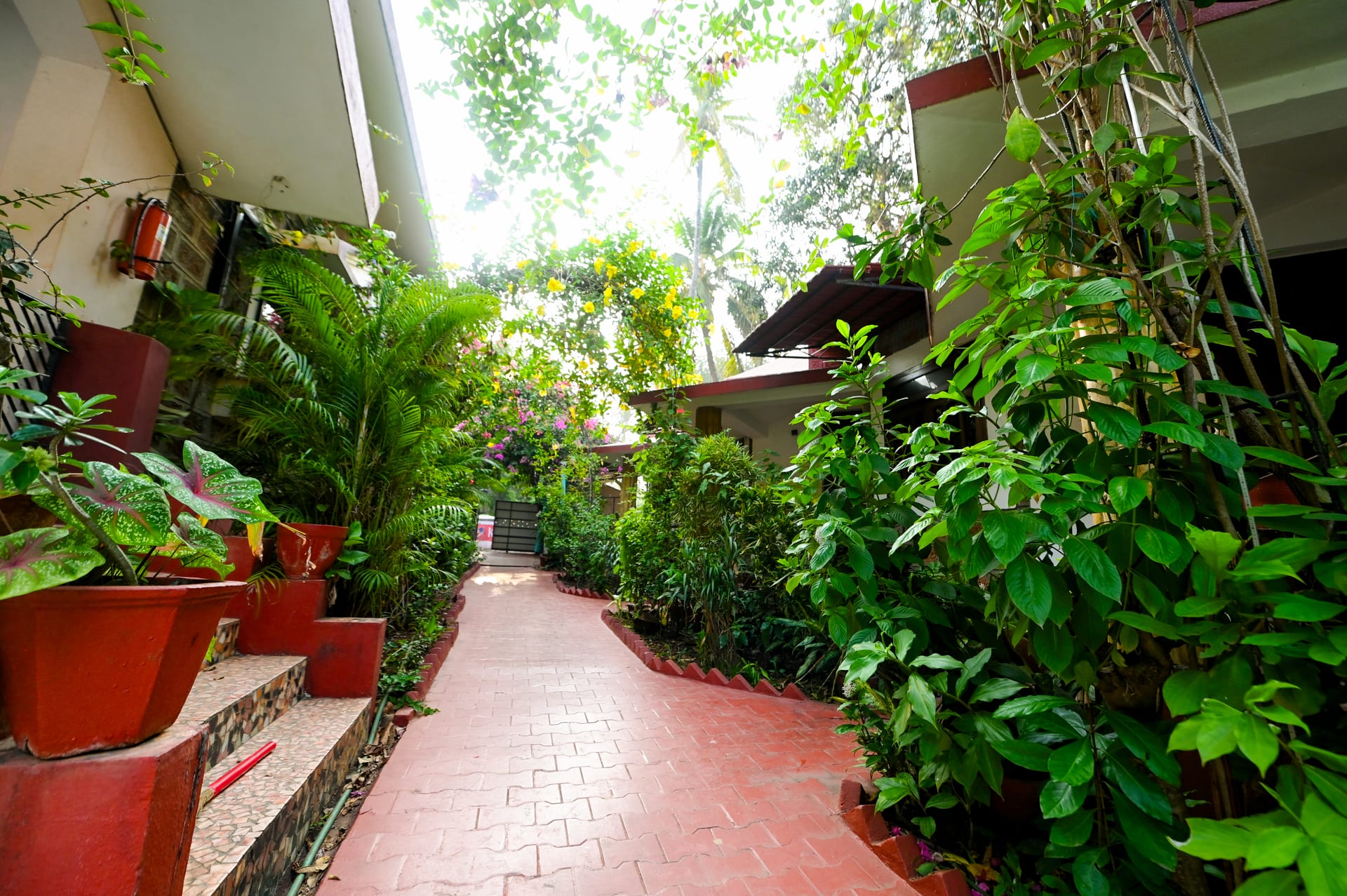 Harbor Court — 10 bedroom luxury bungalow in Vagator, North Goa