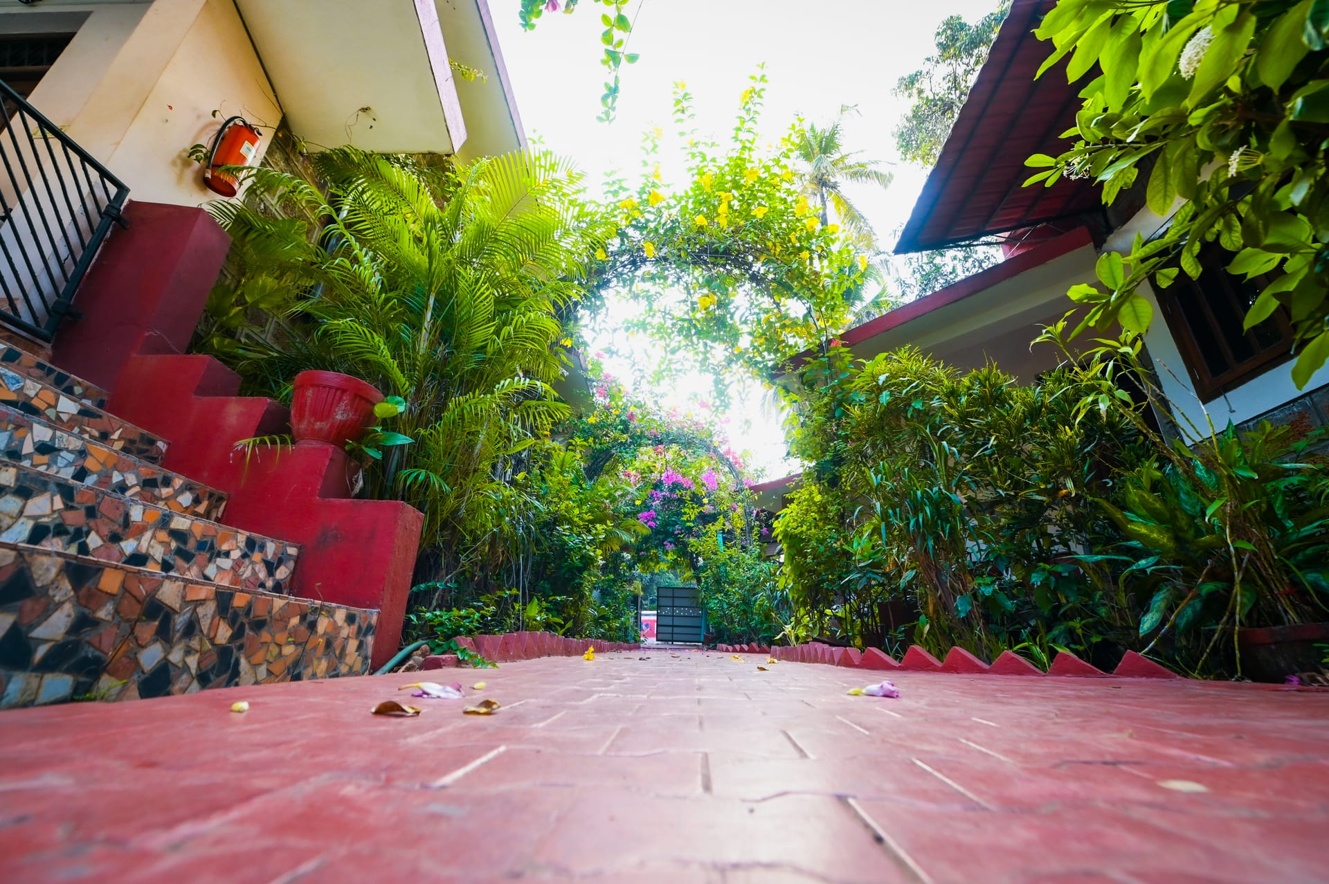 Harbor Court — 10 bedroom luxury bungalow in Vagator, North Goa