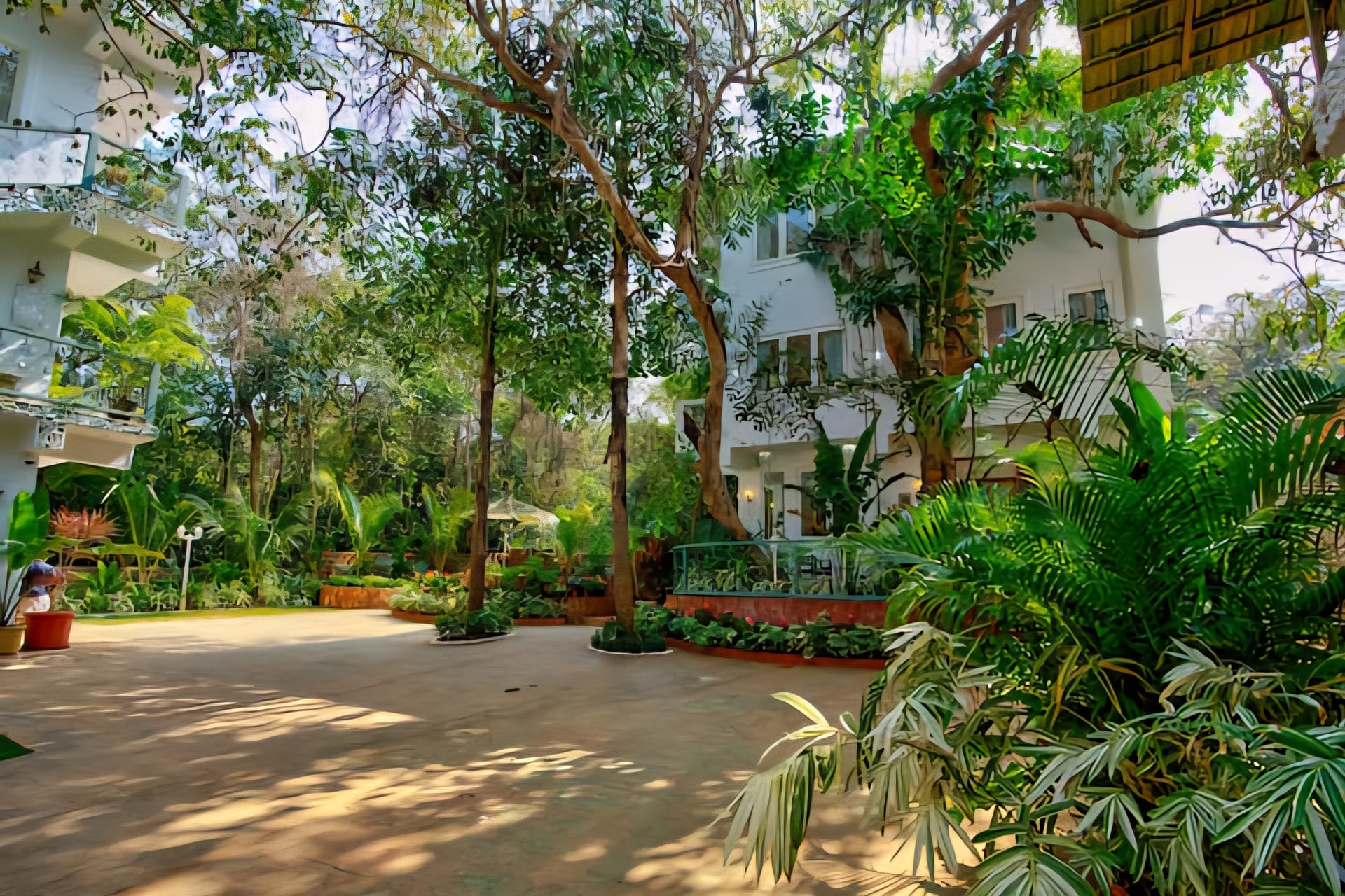 Villa Madera — 3 bedroom luxury villa in Anjuna, North Goa
