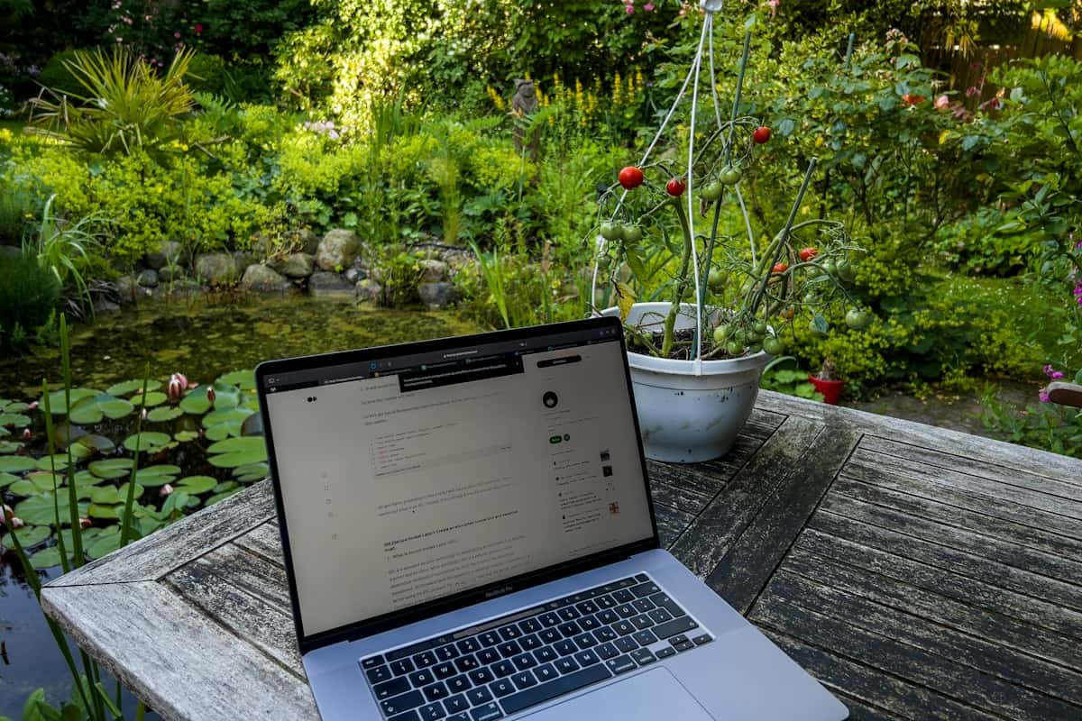 Goa Workation Essentials: High-Speed Wi-Fi & Power Backup Stays